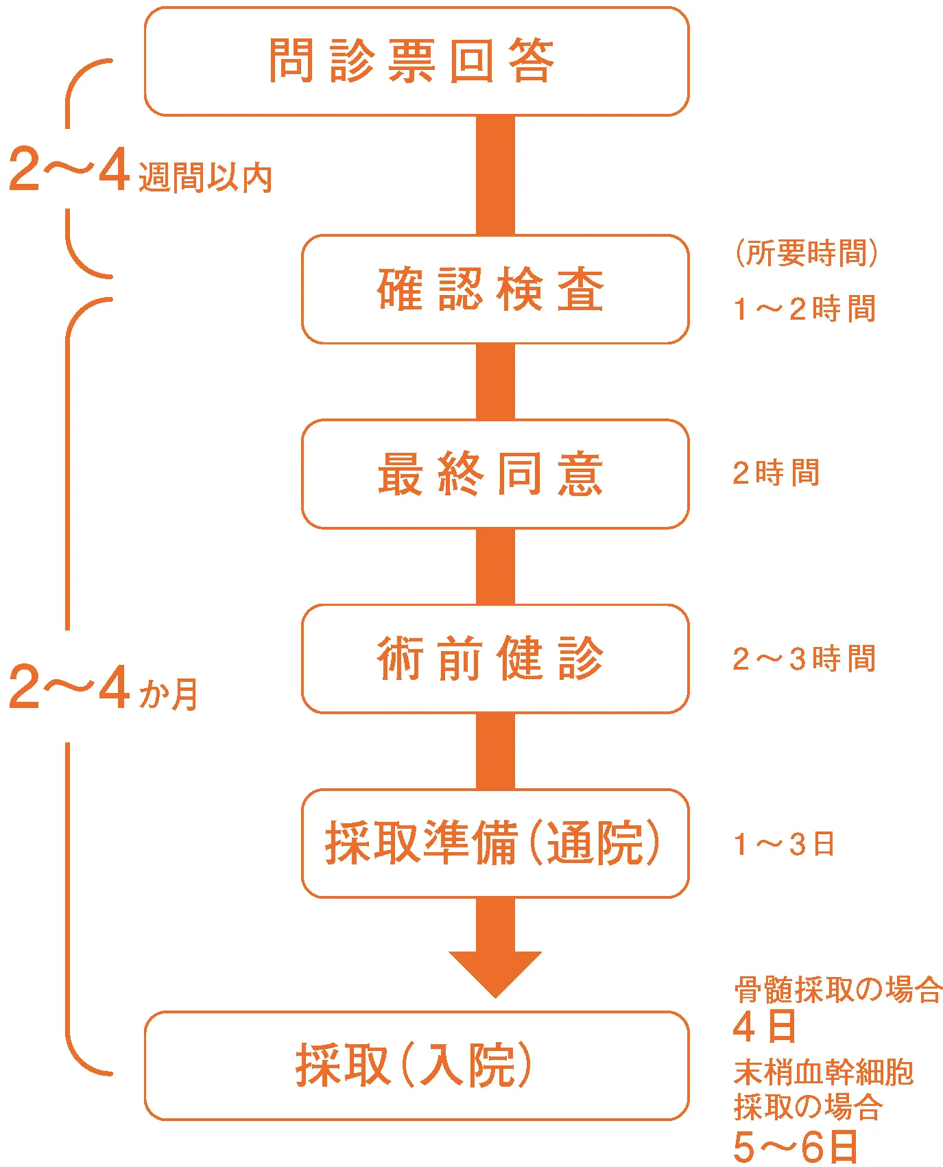 今後の流れ